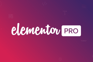 Elementor Pro v3.29.1（popular） 可视化网页设计器插件免费下载+模板